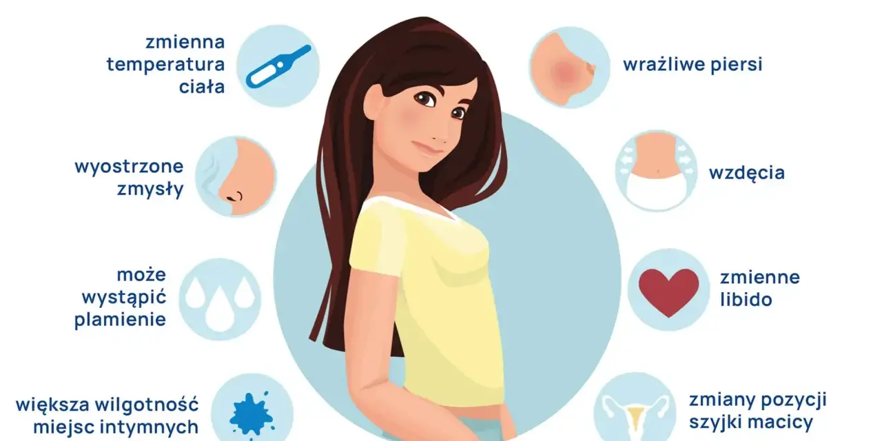 Ilustracja pokazuje objawy owulacji: zmienną temperaturę, wyostrzone zmysły, plamienie, wilgotność, ból, wrażliwe piersi, wzdęcia, zmienne libido, zmiany szyjki macicy, nudności i bóle głowy.