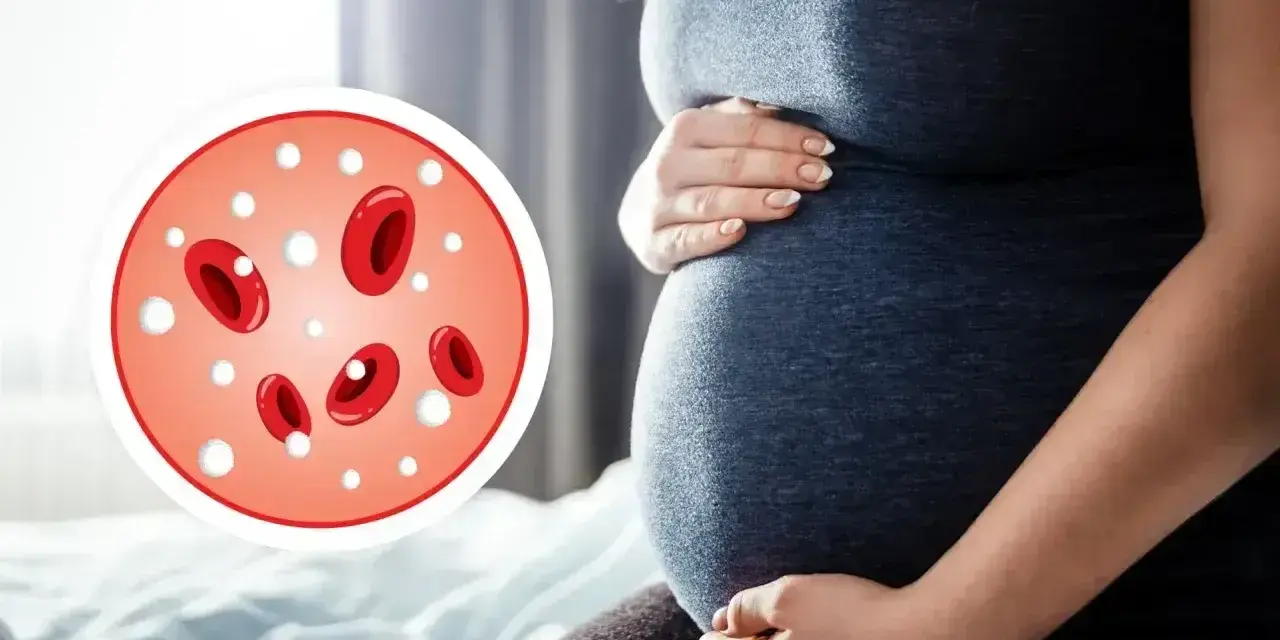 Ciąża i obrazek z krwinkami. Podwyższone leukocyty w ciąży mogą być sygnałem infekcji.