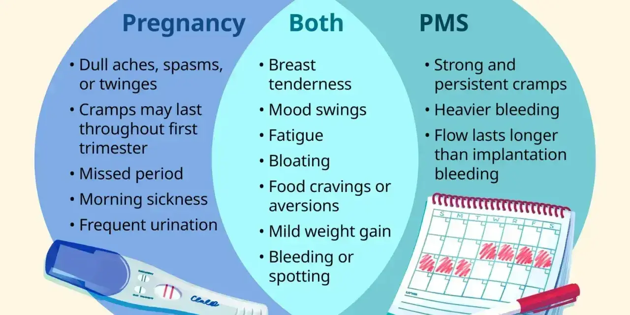 Wykres porównuje objawy ciąży i PMS. Ból menstruacyjny nie do zniesienia, silne skurcze i obfite krwawienie to objawy PMS.