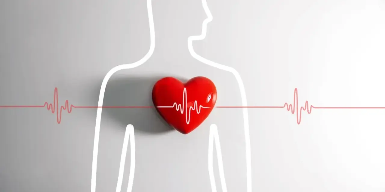 Czerwone serce z linią EKG na tle sylwetki człowieka. Zastanawiasz się nad kołataniem serca przyczyny?