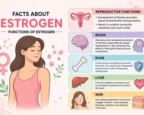 Estrogen co to? Wyjaśnienie funkcji estrogenu: reprodukcja, mózg, kości, wątroba, skóra. Ilustracja kobiety i schematów.