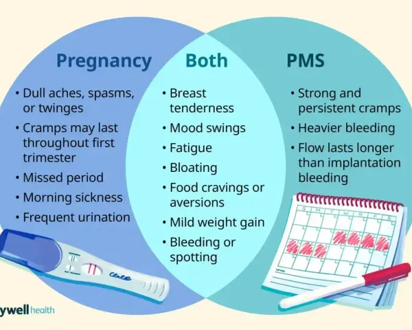Wykres porównuje objawy ciąży i PMS. Ból menstruacyjny nie do zniesienia, silne skurcze i obfite krwawienie to objawy PMS.