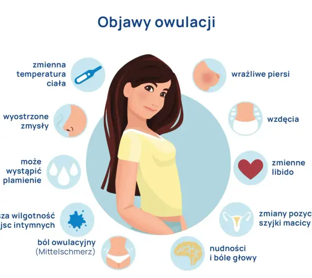 Ilustracja pokazuje objawy owulacji: zmienną temperaturę, wyostrzone zmysły, plamienie, wilgotność, ból, wrażliwe piersi, wzdęcia, zmienne libido, zmiany szyjki macicy, nudności i bóle głowy.