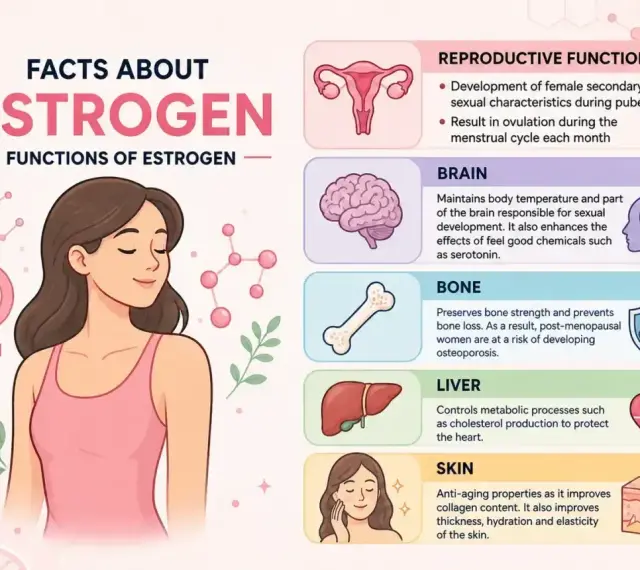 Estrogen co to? Wyjaśnienie funkcji estrogenu: reprodukcja, mózg, kości, wątroba, skóra. Ilustracja kobiety i schematów.