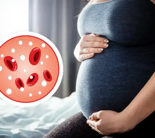 Ciąża i obrazek z krwinkami. Podwyższone leukocyty w ciąży mogą być sygnałem infekcji.
