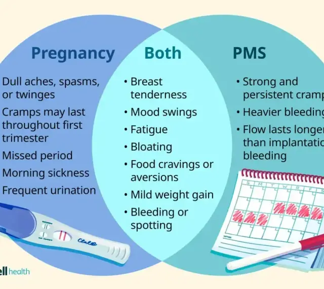 Wykres porównuje objawy ciąży i PMS. Ból menstruacyjny nie do zniesienia, silne skurcze i obfite krwawienie to objawy PMS.