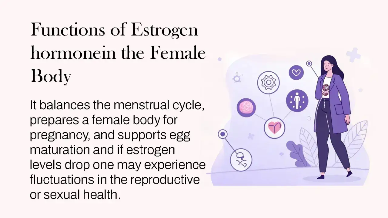 Estrogen co to? Hormon kluczowy dla cyklu, ciąży i zdrowia reprodukcyjnego kobiety. Ilustracja przedstawia jego funkcje.