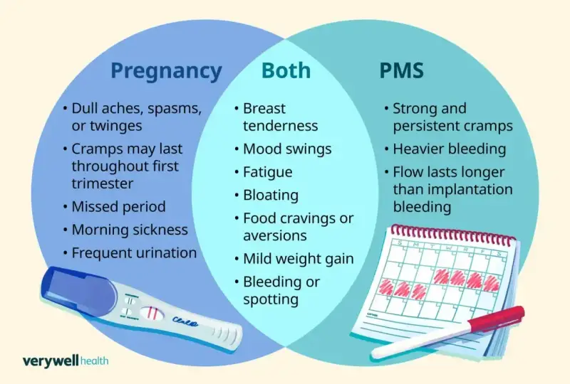 Wykres porównuje objawy ciąży i PMS. Ból menstruacyjny nie do zniesienia, silne skurcze i obfite krwawienie to objawy PMS.